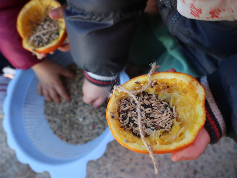 Historia y origen de Dinoschool - Escuela infantil de crianza