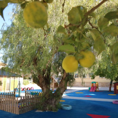 Dinoschool, escuela infantil bilingüe en el Vedat de Torrent, Valencia